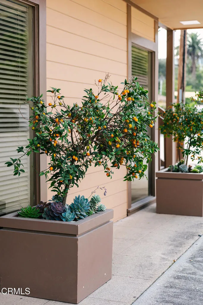 Additional image 149 of 2505 Canada Boulevard, Glendale, CA 91208