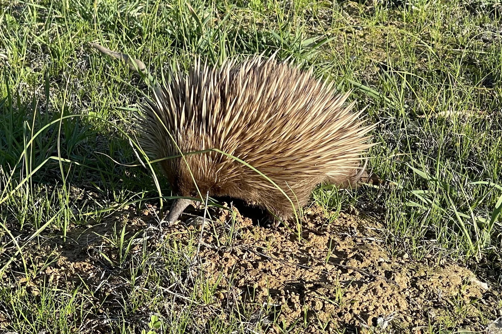 Additional image 34 of 2021 North Coast Road, Wisanger SA 5223