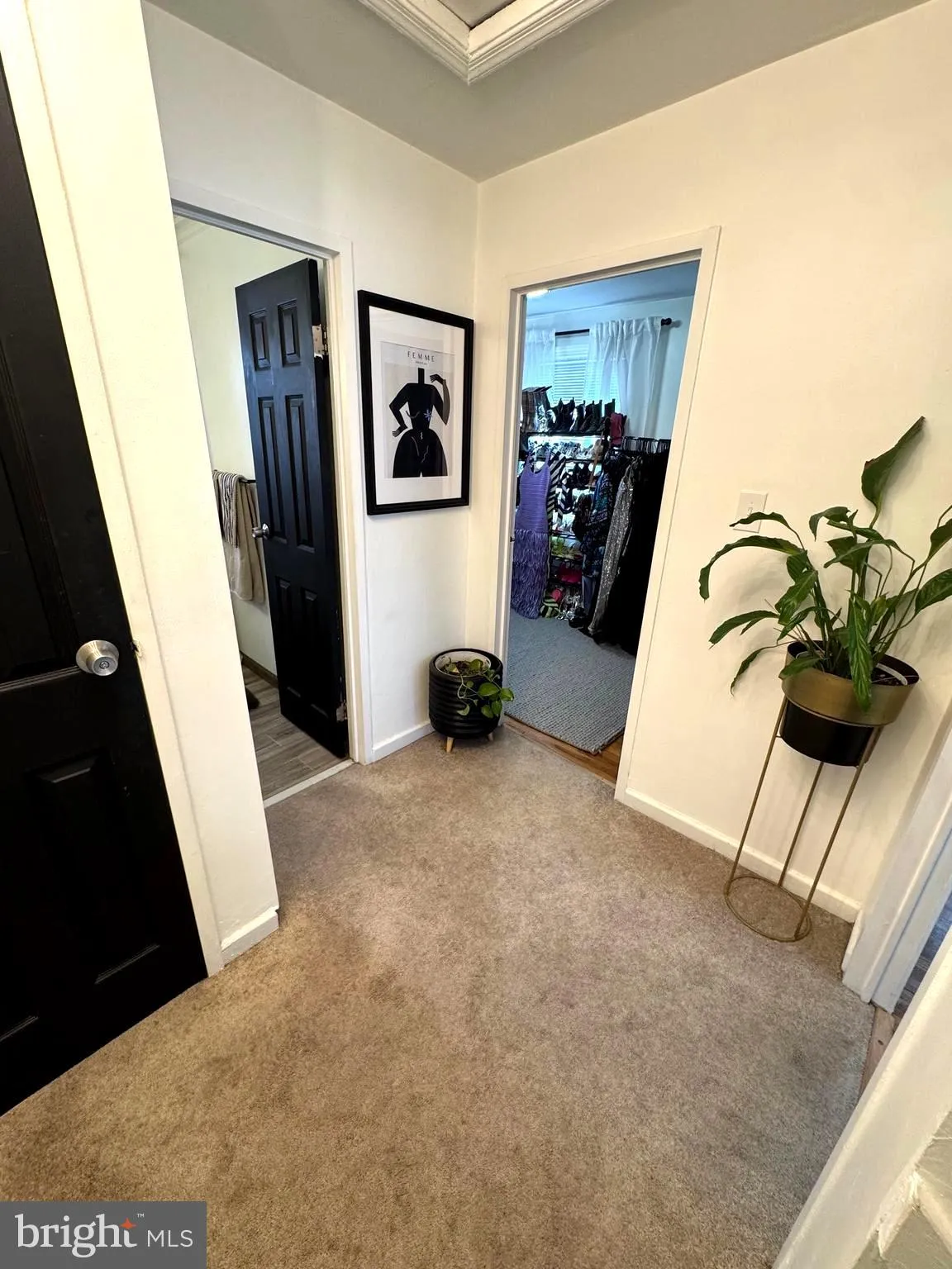 Additional image 39 of 4334 Martin Luther King Jr Avenue SW, Washington, DC 20032