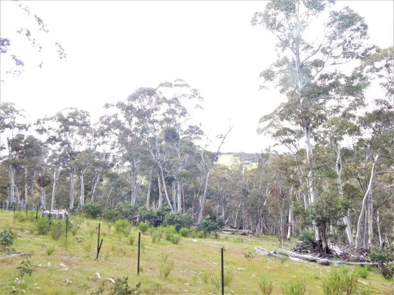 Additional image 4 of Lot 144 Anglers Reach Road, Adaminaby NSW 2629