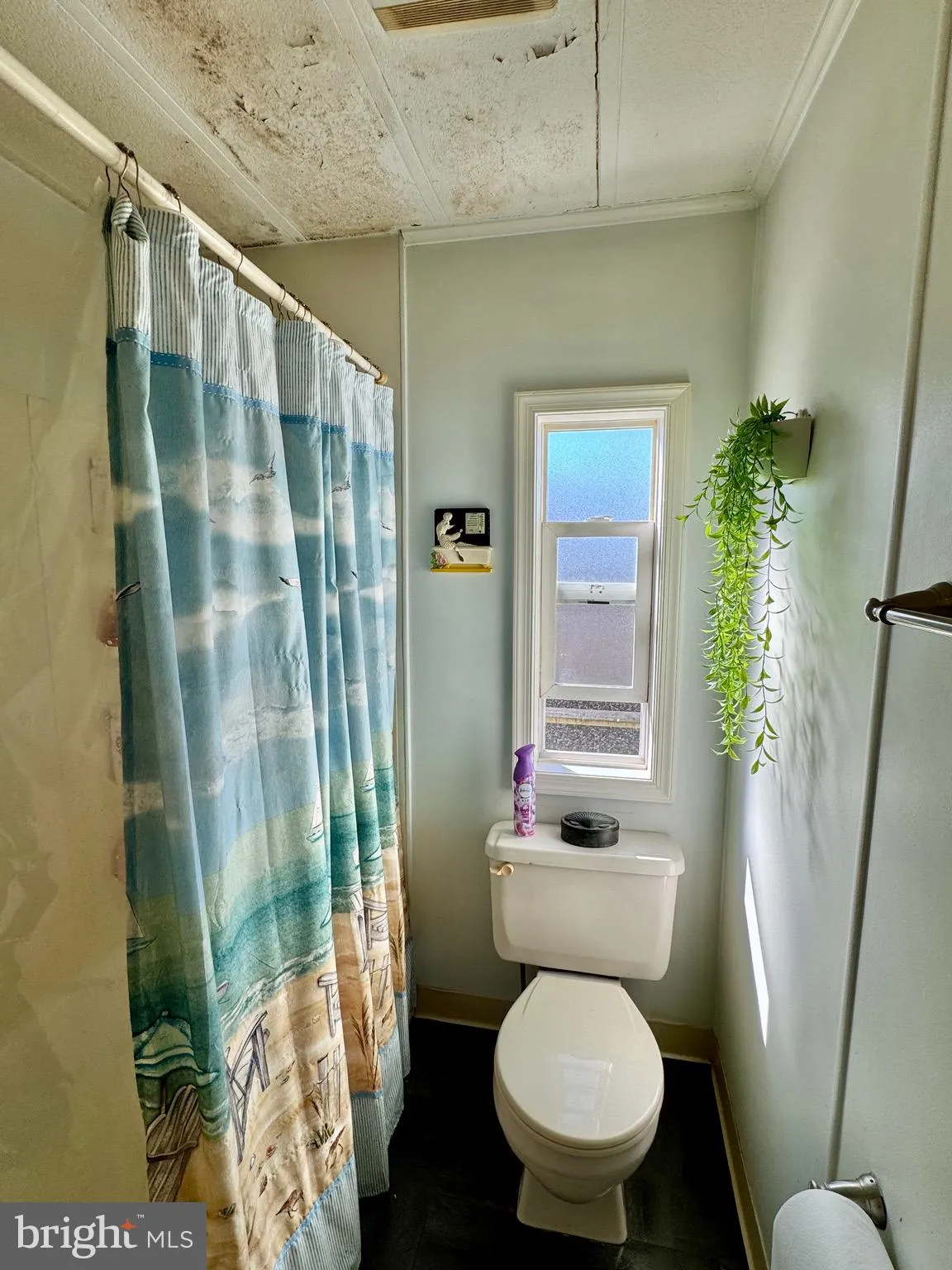 Additional image 49 of 33515 Buttercup Street, Lewes, DE 19958