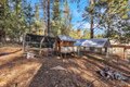 Additional image 49 of 23568 Robin Rd, Pioneer, CA, 95666