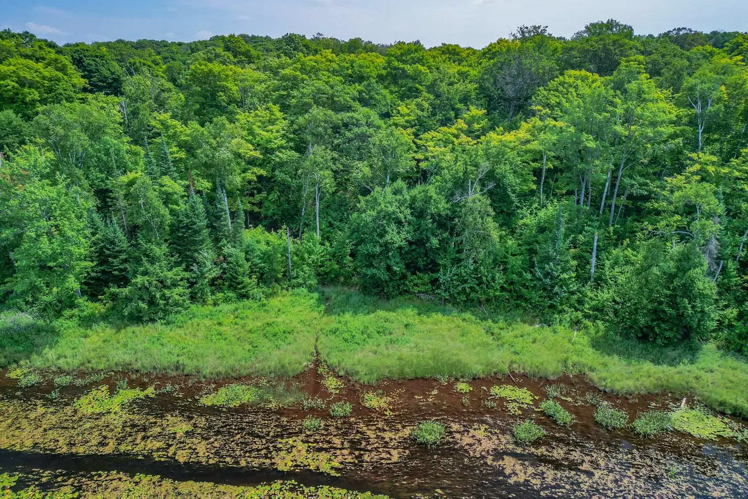 Additional image 10 of 17 Cornflower Road