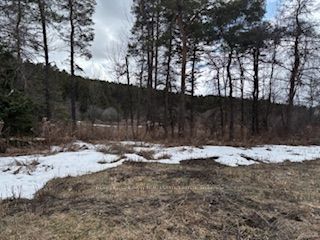 Additional image 4 of 937054 Airport Road, Mulmur, ON, L9V 0L6