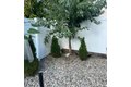Additional image 24 of 119 Columbus Pl, Roselle Park, NJ, 07204