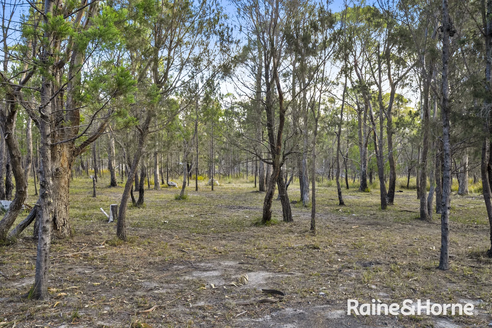 Additional image 12 of Lot 2/10 Elizabeth Street, Pontypool TAS 7190