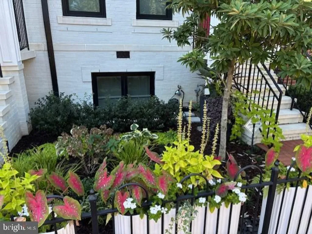 Additional image 34 of 1305 D Street SE, Washington, DC 20003