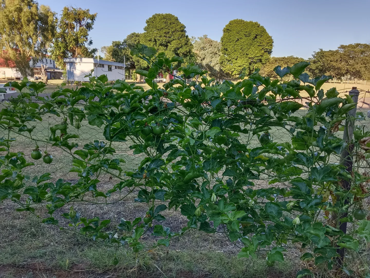 Additional image 21 of Torrens Creek QLD 4816