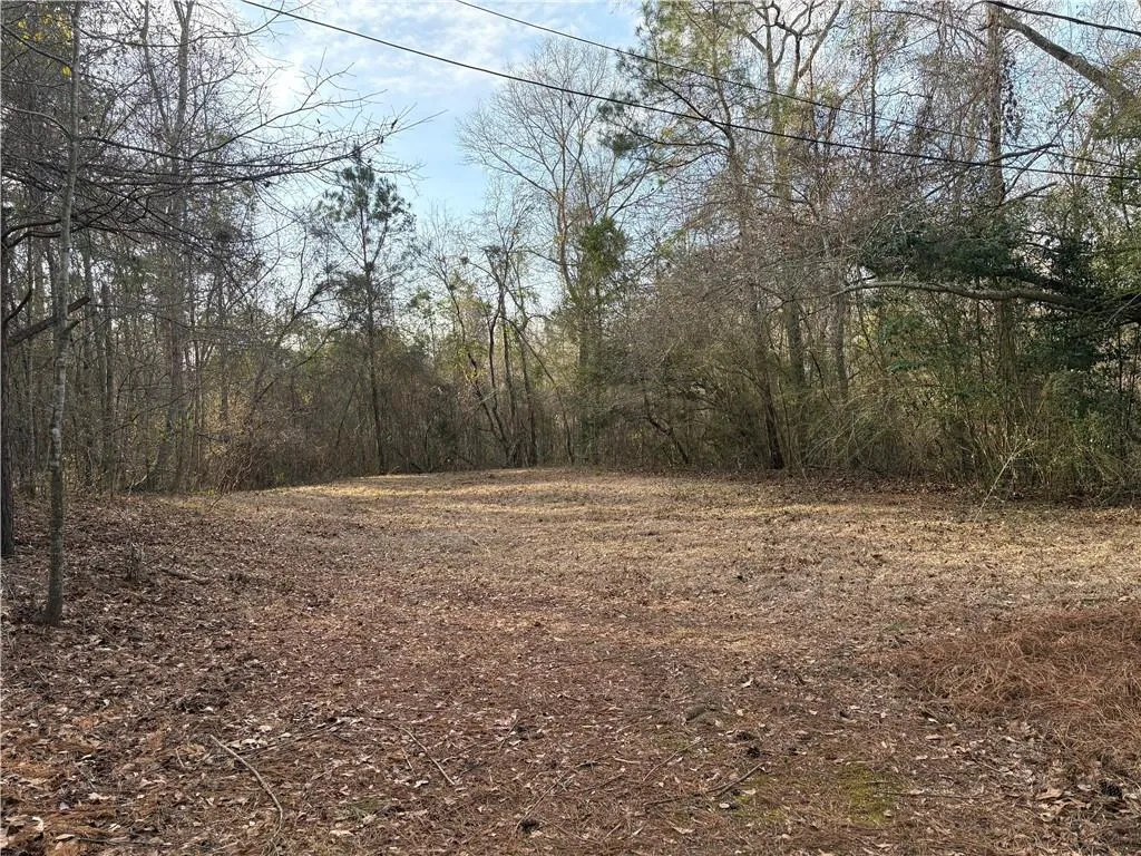 Additional image 92 of 370 Lee Road 220, Phenix City, AL 36870