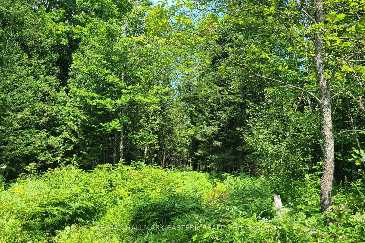 Additional image 11 of N/A Keating Road