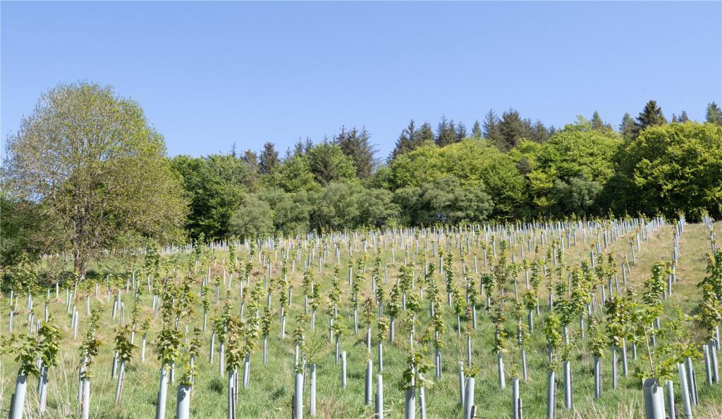 Additional image 23 of Corsindae Estate, Sauchen, Inverurie, Aberdeenshire, AB51