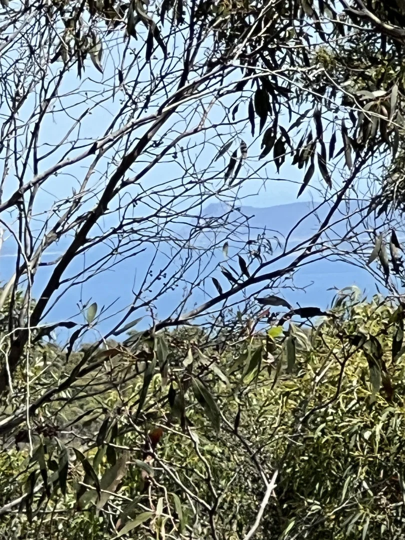 PID 6424103 Palana Road, Emita TAS 7255