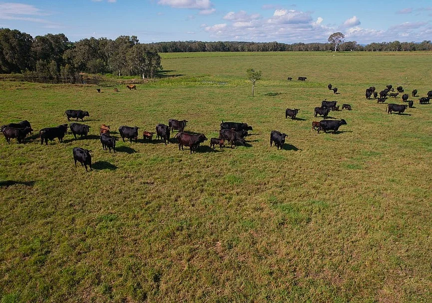Additional image 8 of Bruce Highway, Ilbilbie QLD 4738