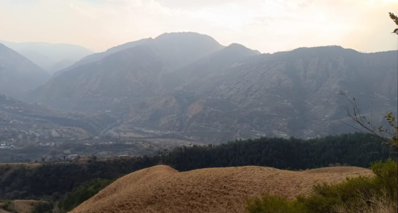 Additional image 3 of Naldehra, Shimla