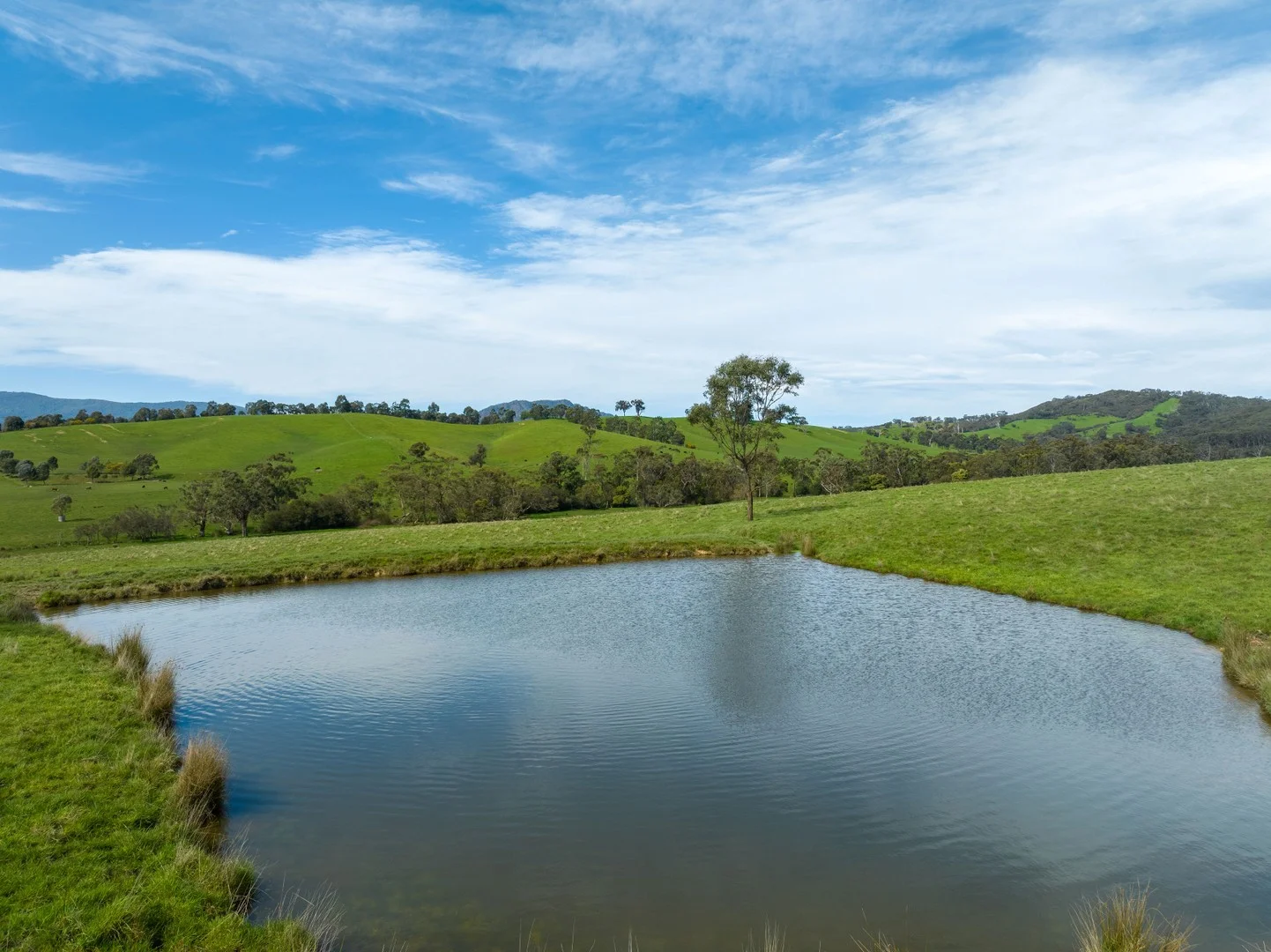 Additional image 3 of 101 Yellow Creek Road, Taggerty VIC 3714