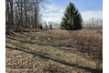 Additional image 27 of Timber Dr Lot 10, Cochecton, NY, 12726