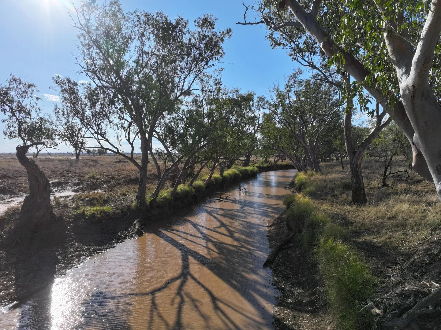 "Harms Block & Savannah", Mount Abundance QLD 4455