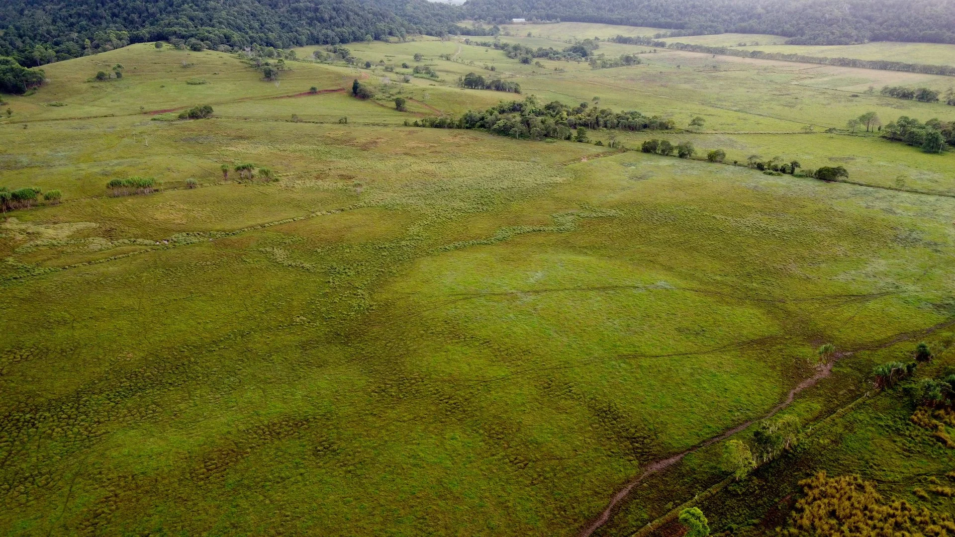 Additional image 4 of 0 POPPI ROAD, Cowley QLD 4871