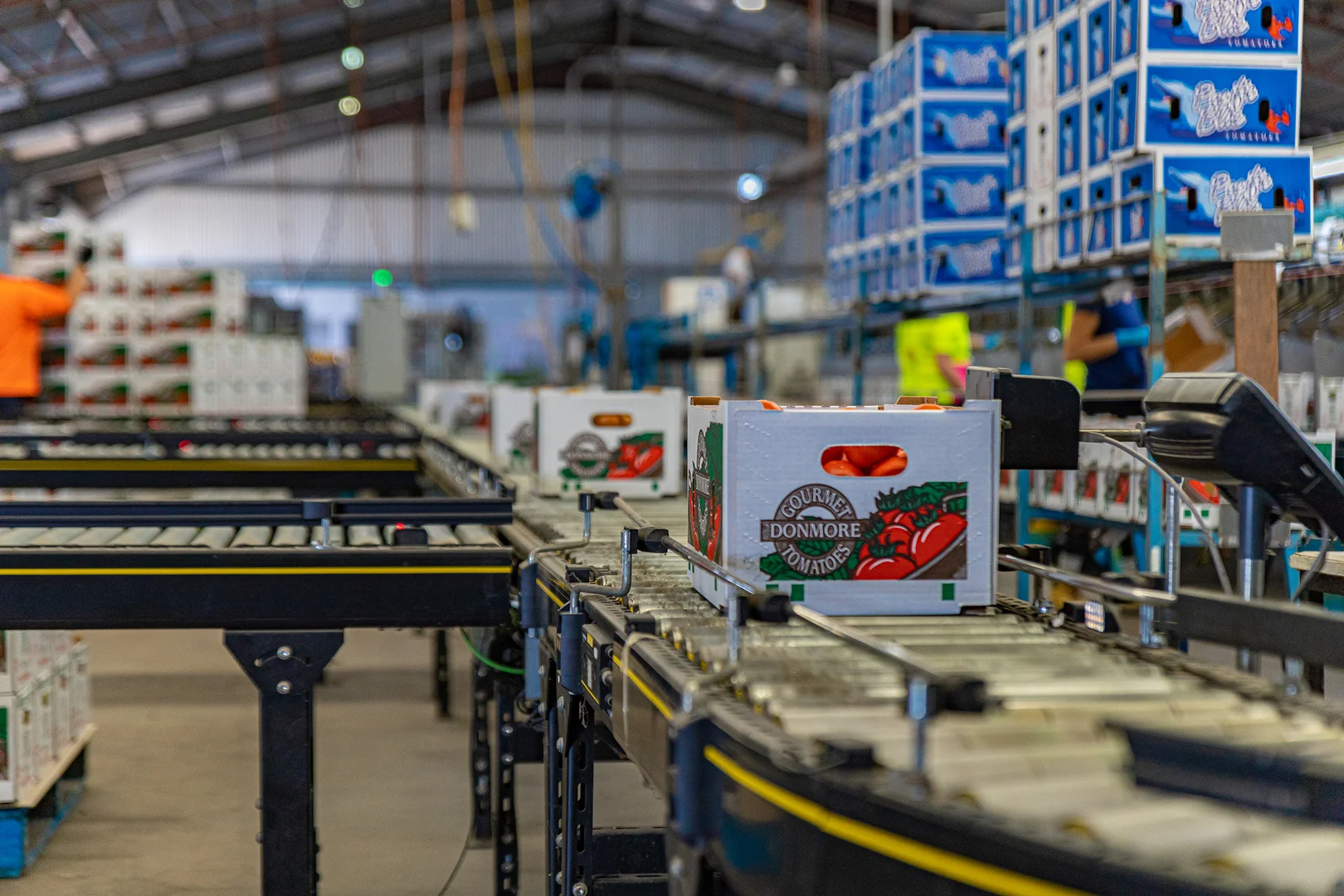 Additional image 11 of Bowen QLD 4805