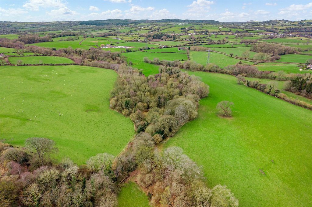 Additional image 3 of Equestrian for saleLeeswood, Mold, Flintshire CH7