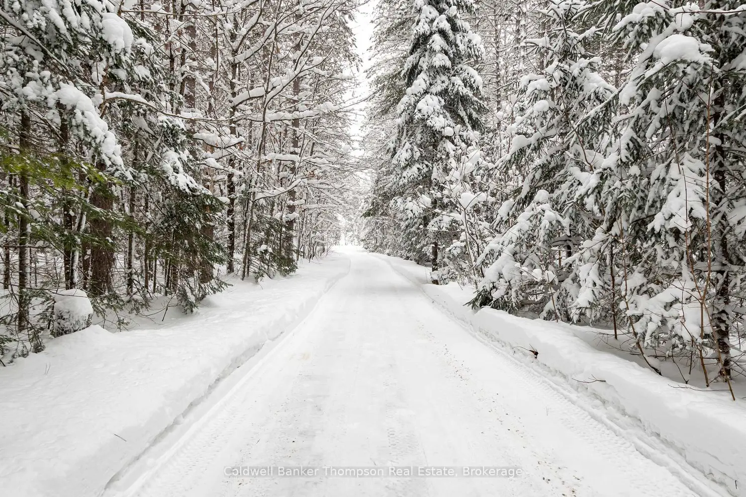 Additional image 20 of 1095 Williamsport Road