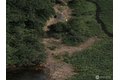 Additional image 4 of 1063 W Carman Rd S, Shelton, WA, 98584