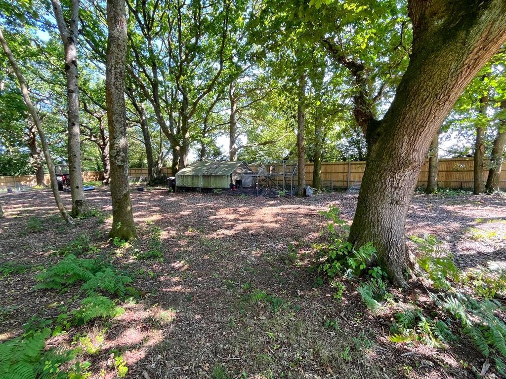 Additional image 8 of Land for saleHoldcroft Lane, East Hoathly, Lewes, East Sussex BN8