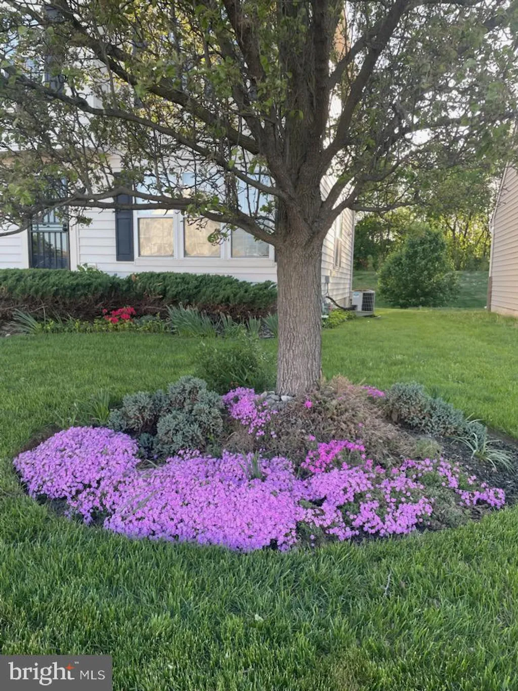 Additional image 28 of 260 Golden Plover Drive, Smyrna, DE 19977