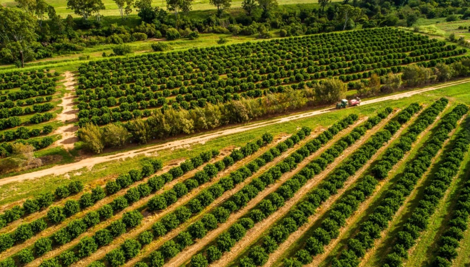 Additional image 23 of Reids Creek QLD 4625