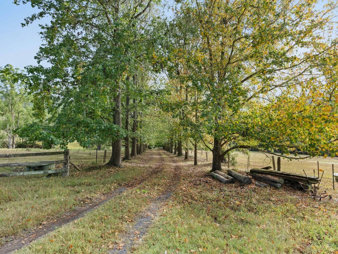 Additional image 3 of 1252 Yarramalong Road, Wyong Creek NSW 2259