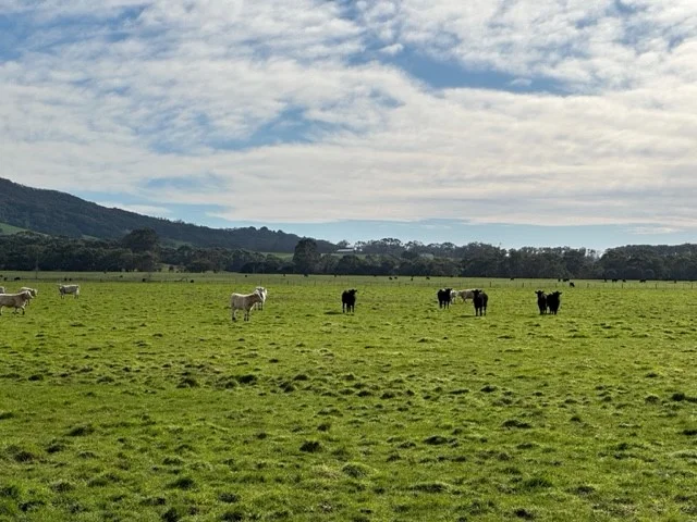 Additional image 4 of Part/65 Black Swamp Road, Foster VIC 3960