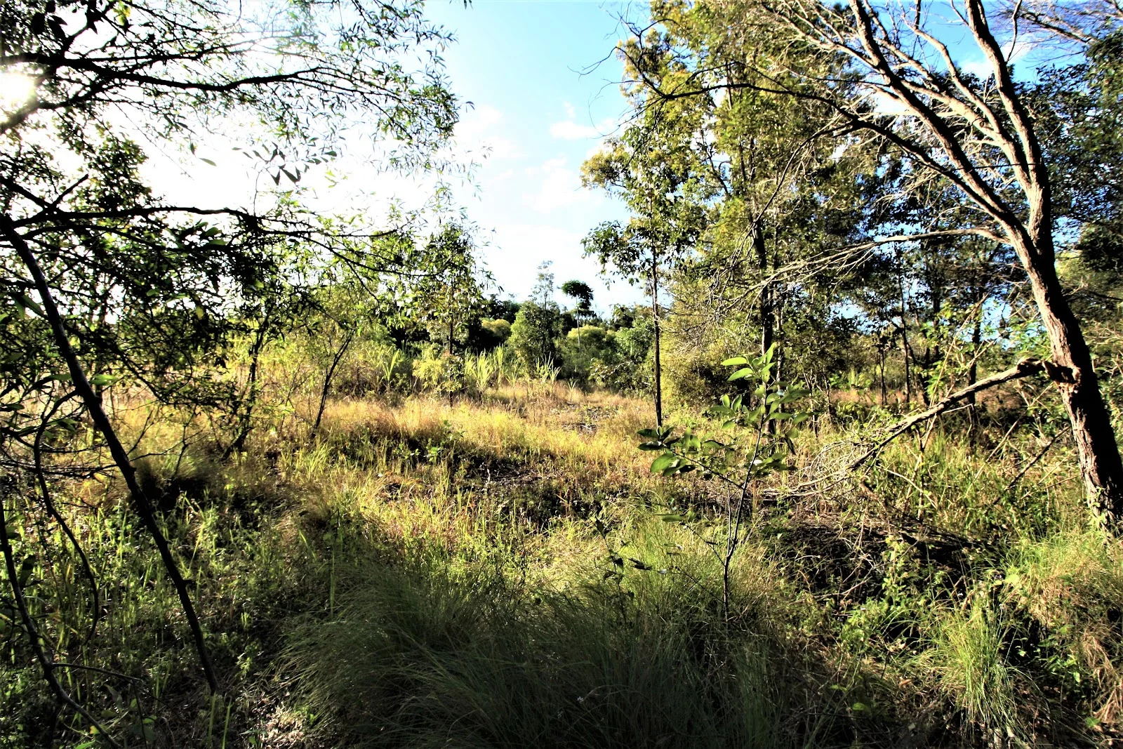 Additional image 3 of 700 Booyan Road, Moore Park Beach QLD 4670