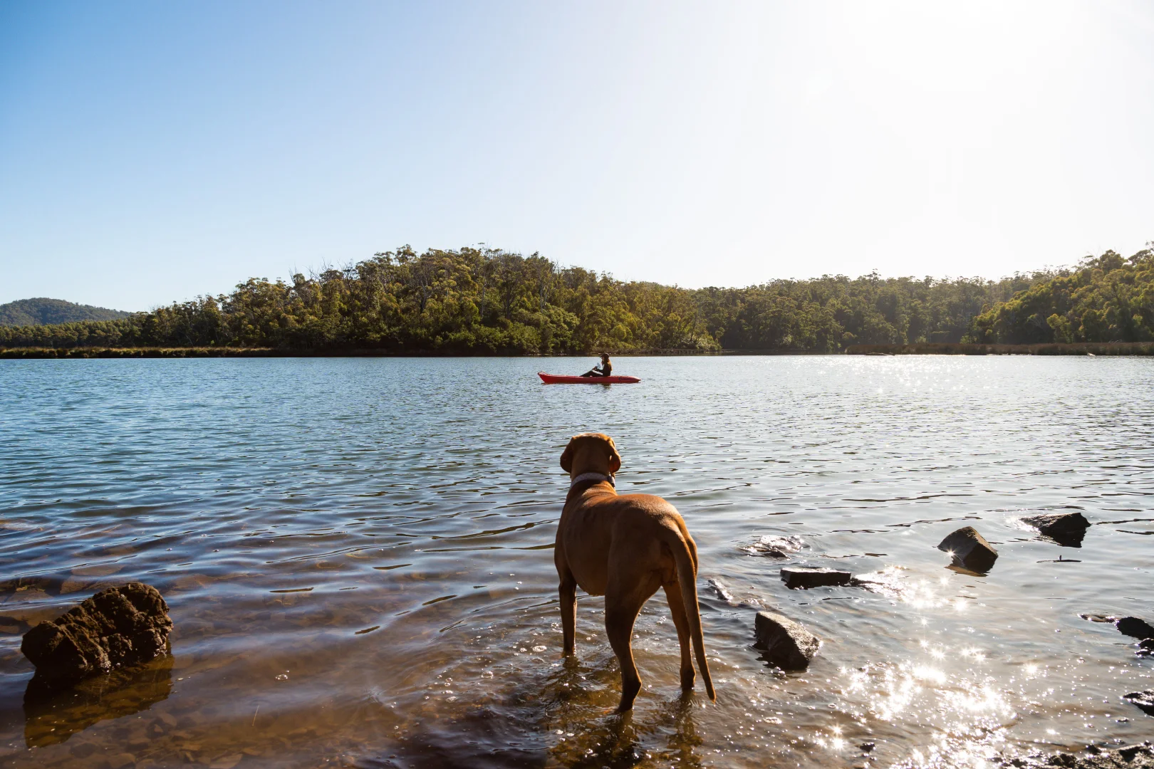 Additional image 26 of 141 Riverview Road, Scamander TAS 7215