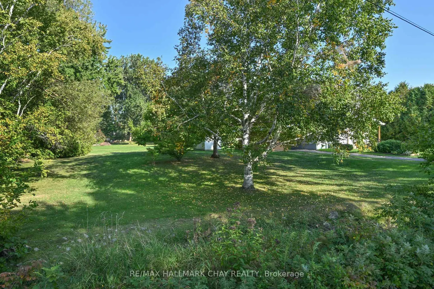 213 Dominion Drive photo 5