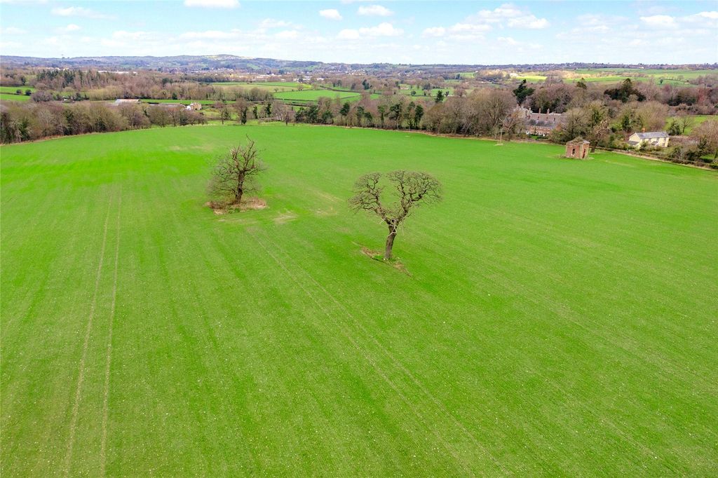 Additional image 3 of Equestrian for saleLeeswood, Mold, Flintshire CH7