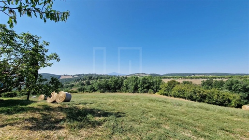 Additional image 12 of Montepulciano (Siena)