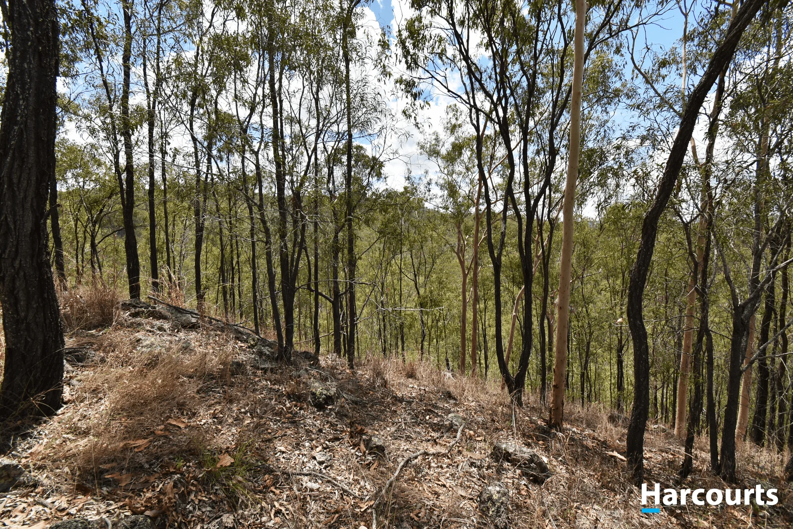Additional image 9 of Lot 29 Wonbah Avenue, Wonbah QLD 4671