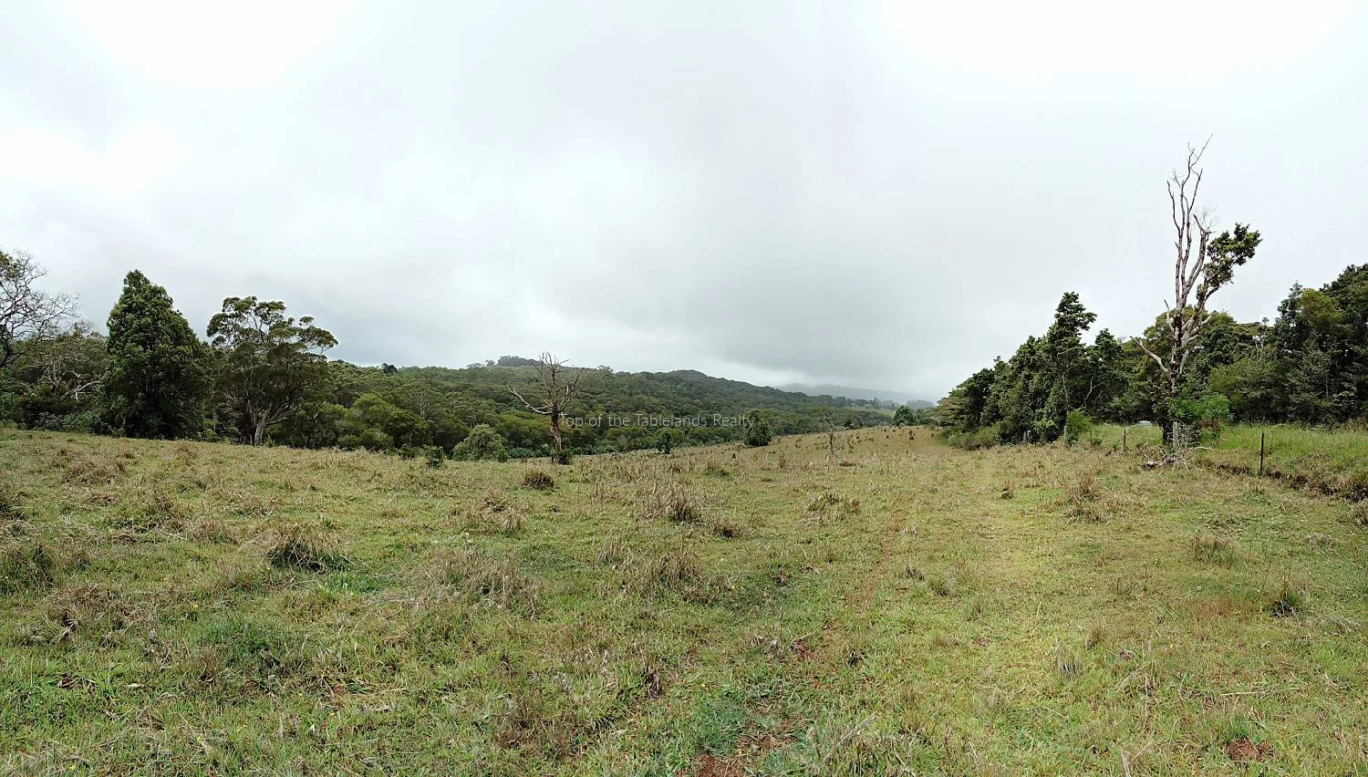 Additional image 8 of 11551 Kennedy Hwy, Evelyn QLD 4888