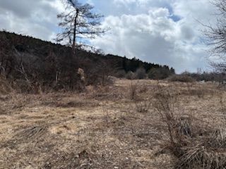 Additional image 2 of 937054 Airport Road, Mulmur, ON, L9V 0L6