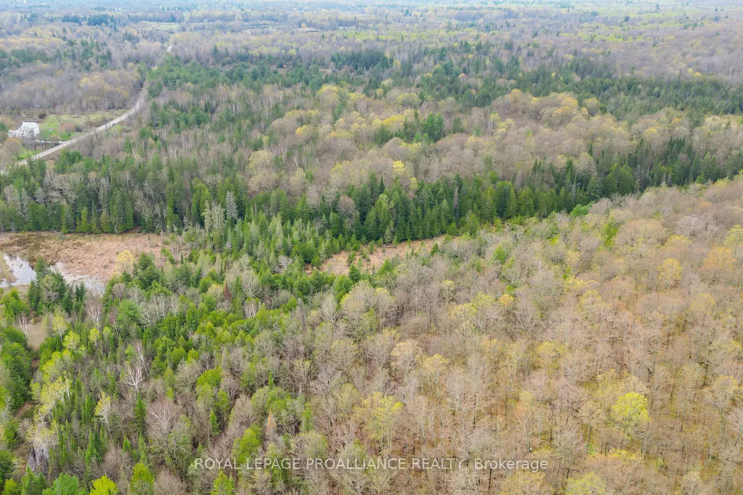 0 Spry Settlement Road photo 5