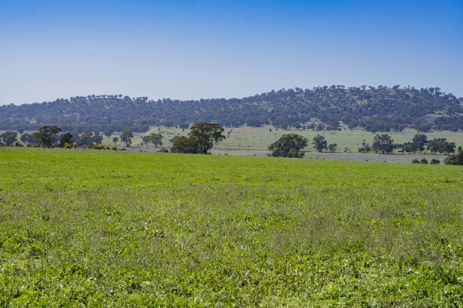 Additional image 30 of 277 Cloughs Road, Yarragundry NSW 2650