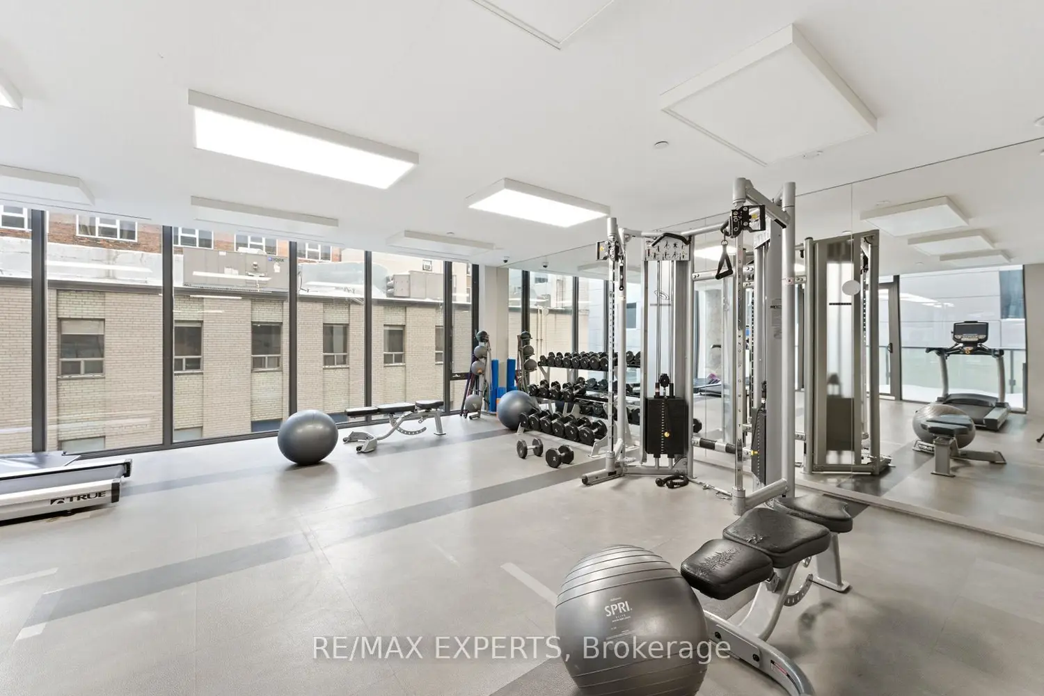 Additional image 15 of 101 Peter Street 3606
