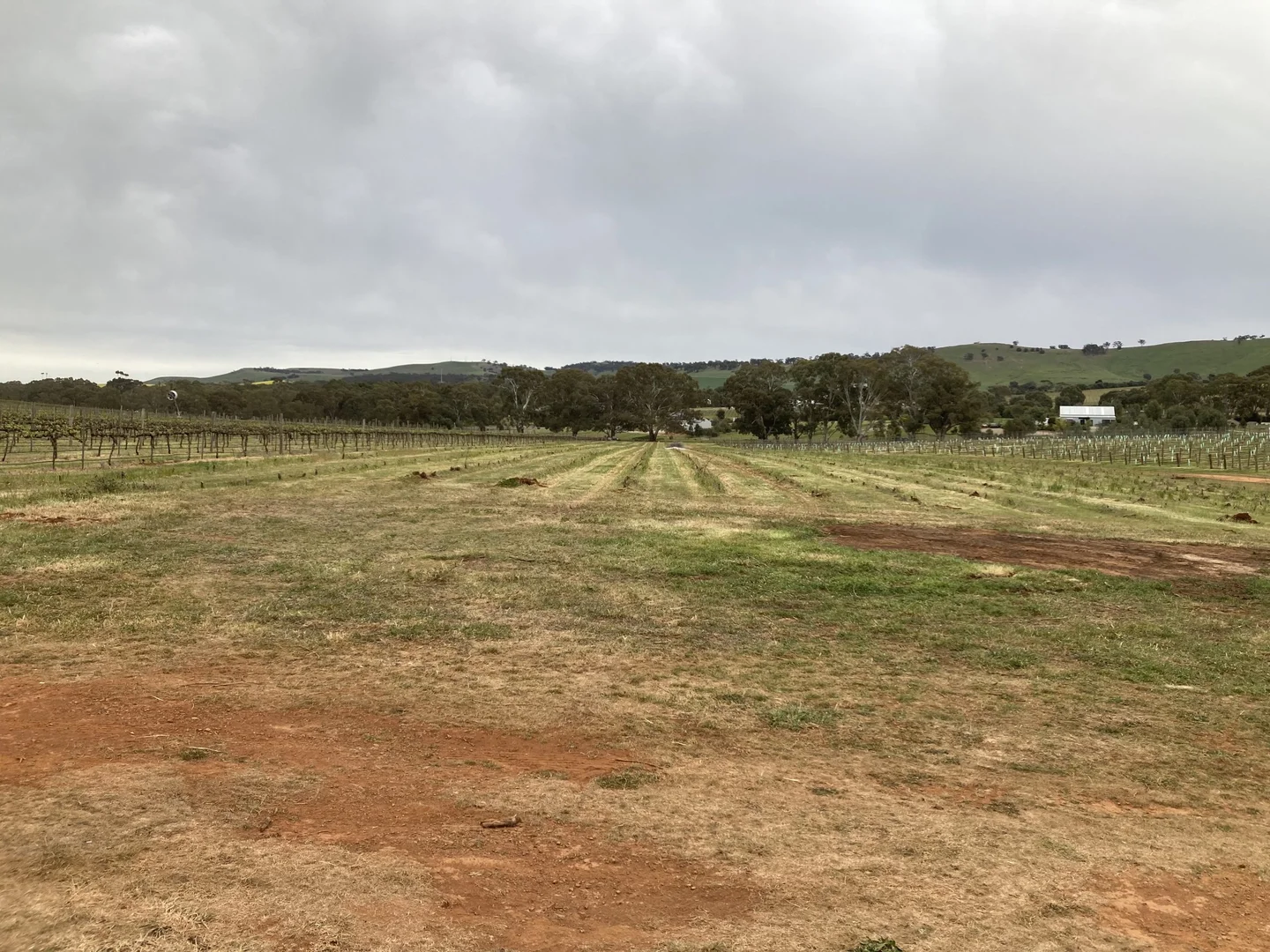 Additional image 17 of Lot 302 Burra Street, Mintaro SA 5415