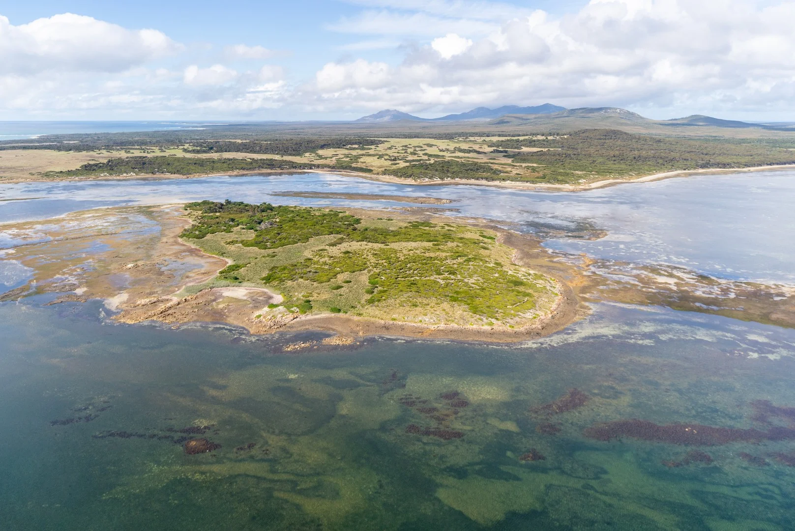 . Puncheon Island, Lady Barron TAS 7255