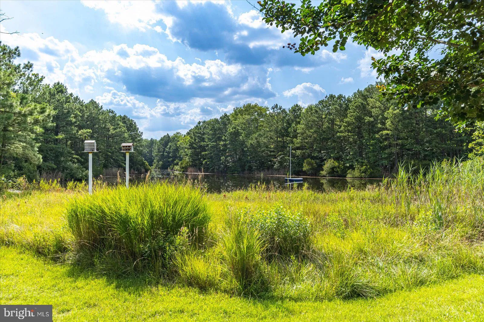 Additional image 121 of 37494 Pettinaro Dr Unit 8804, Ocean View, DE 19967