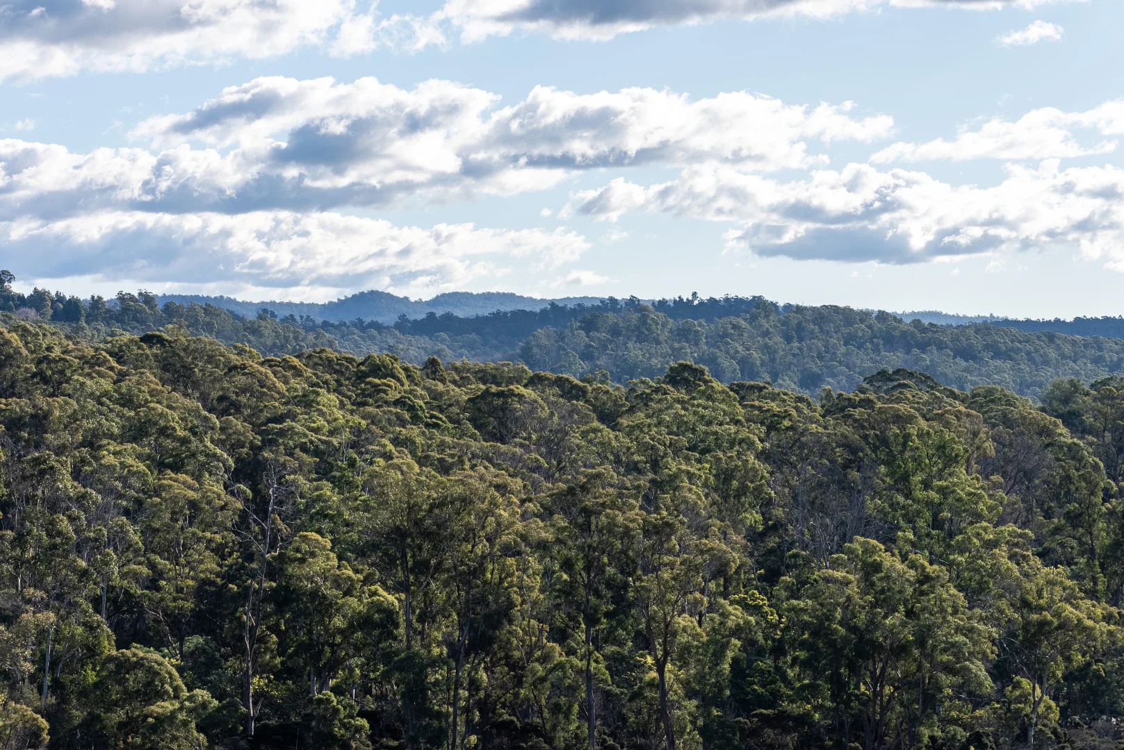 Additional image 5 of 110 Aristotelis Court, Legana TAS 7277