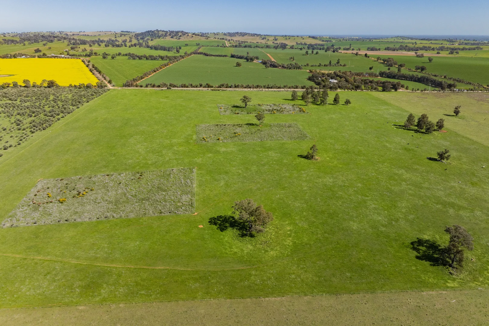 Additional image 78 of 277 Cloughs Road, Yarragundry NSW 2650