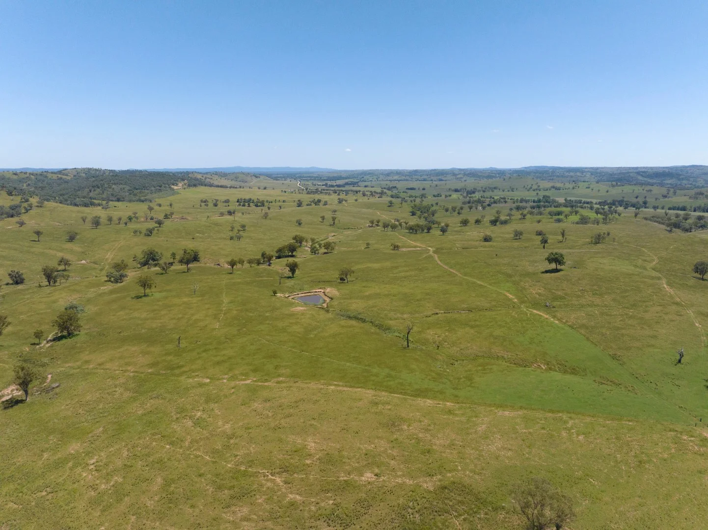 737 Bukkulla Road, Ashford NSW 2361