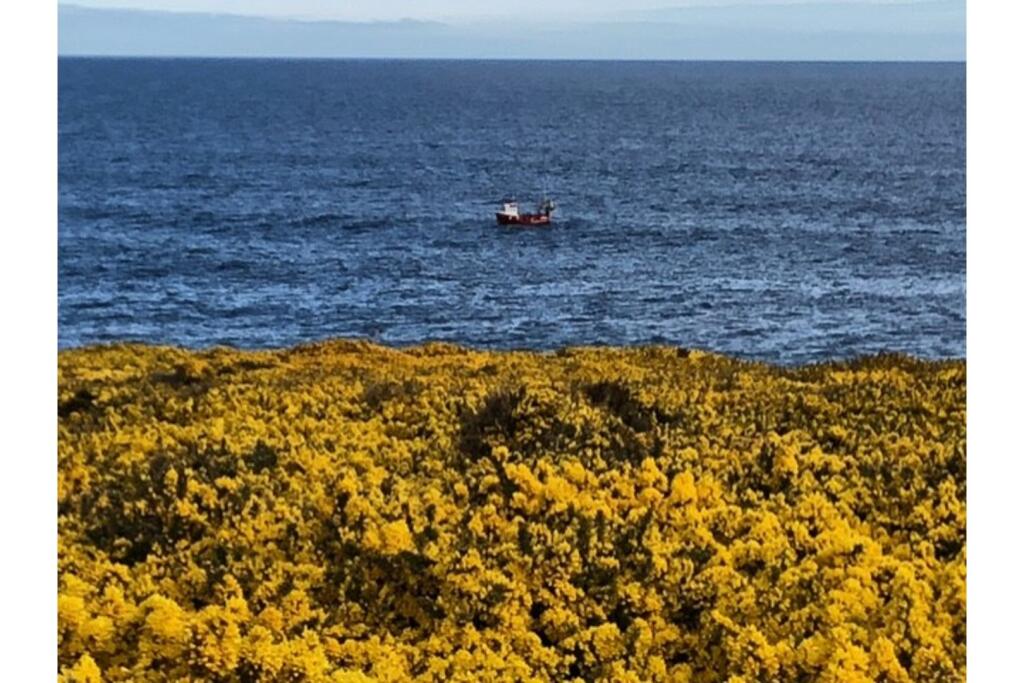 Additional image 35 of Church Street, Banff, AB45