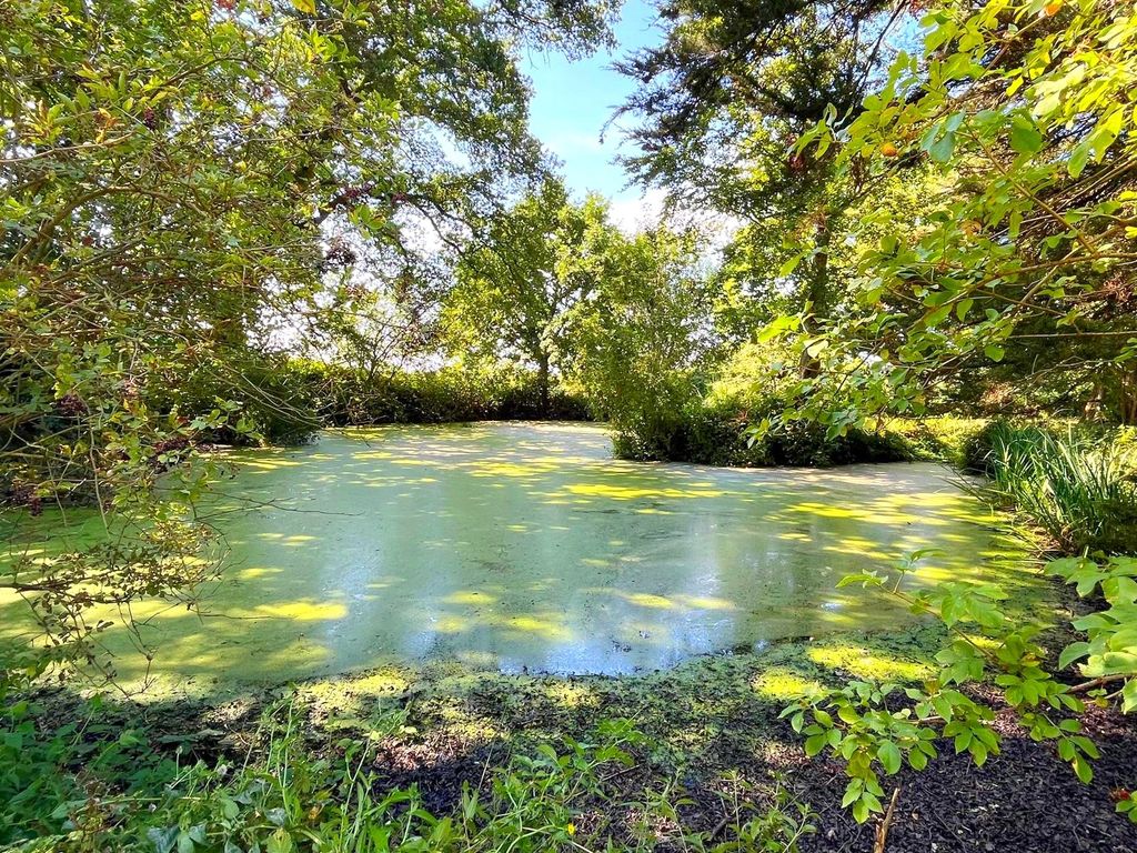 Additional image 9 of Land for saleHoldcroft Lane, East Hoathly, Lewes, East Sussex BN8